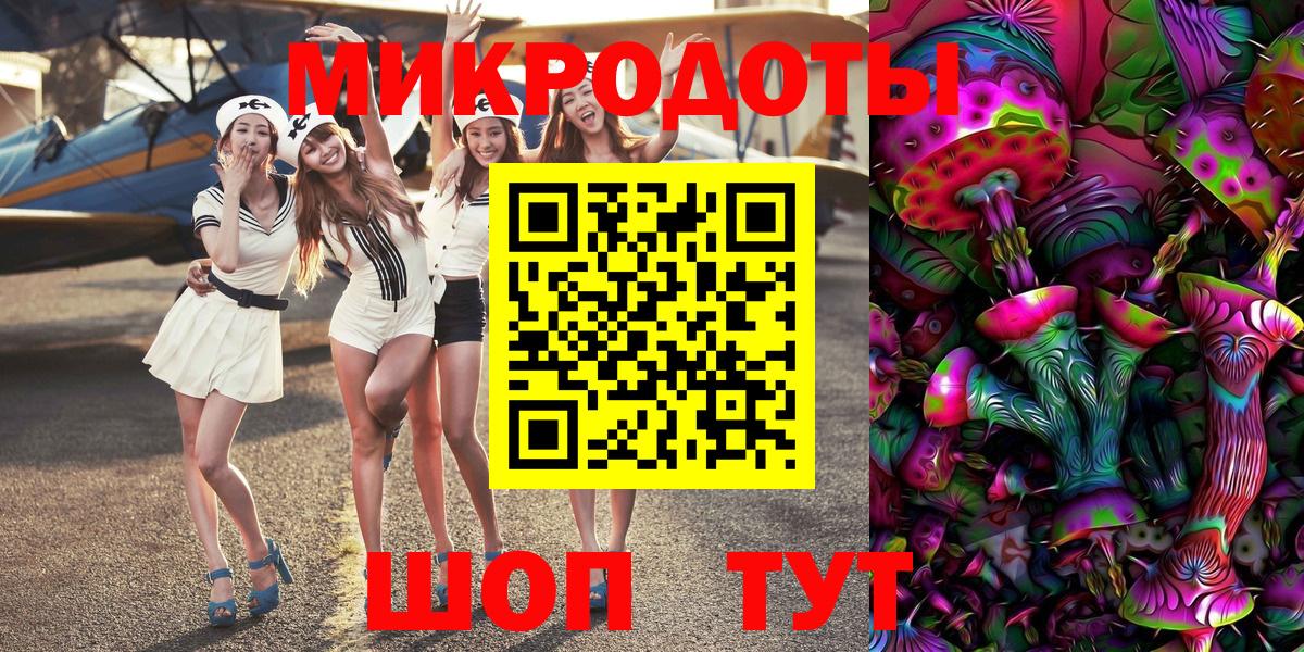 Галлюциногенные грибы Psilocybe Карабулак