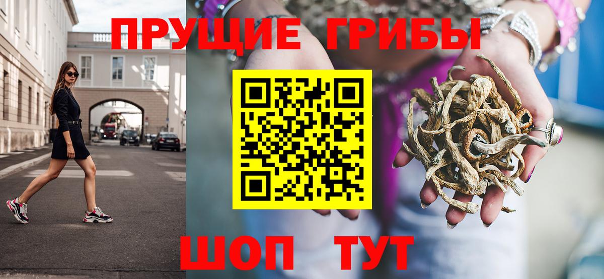 Псилоцибиновые грибы GOLDEN TEACHER  Псилоцибиновые грибы Psilocybine cubensis  Карабулак  Вход с VPN 