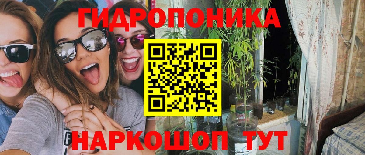 Конопля гибрид Карабулак